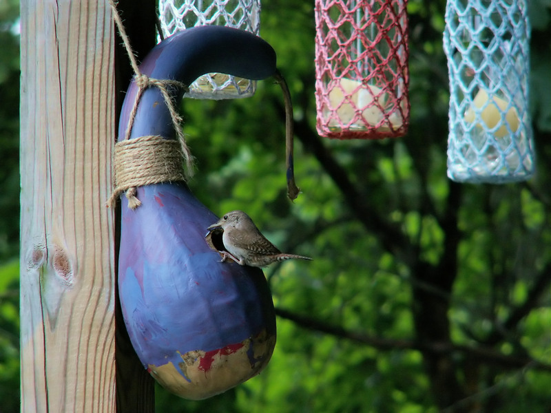 Rubbish removal rubbish collection